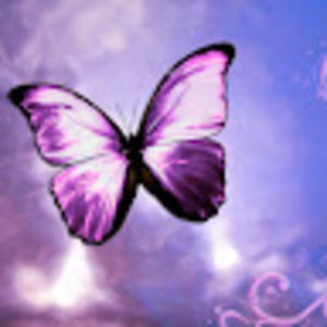 Meet your Posher, Doris